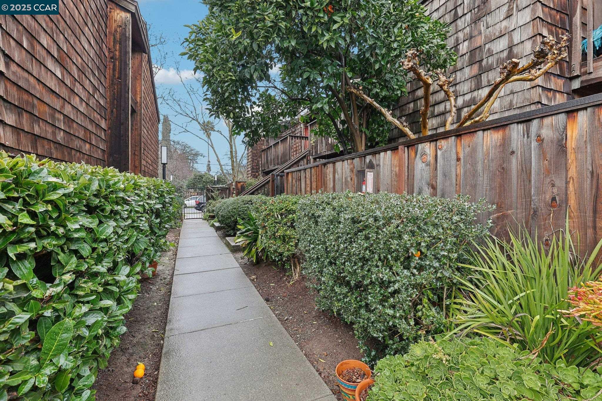 Photo #31: 41081247 Listing: Photo #31