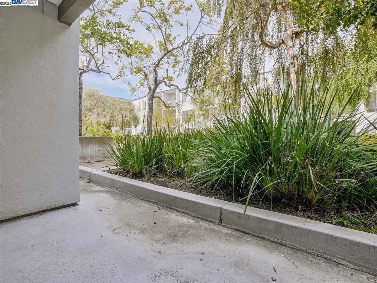 Photo #7: 41081292 Listing: Photo #7