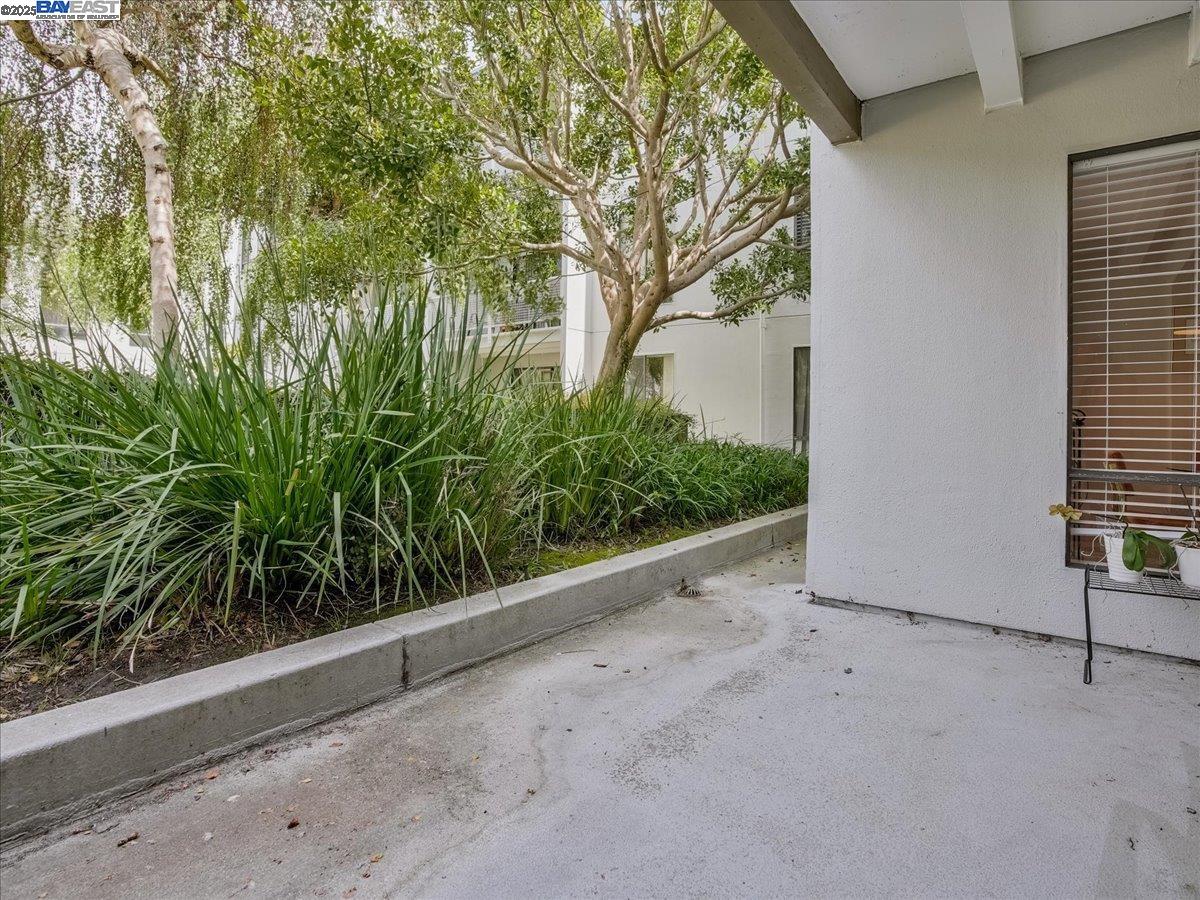 Photo #8: 41081292 Listing: Photo #8