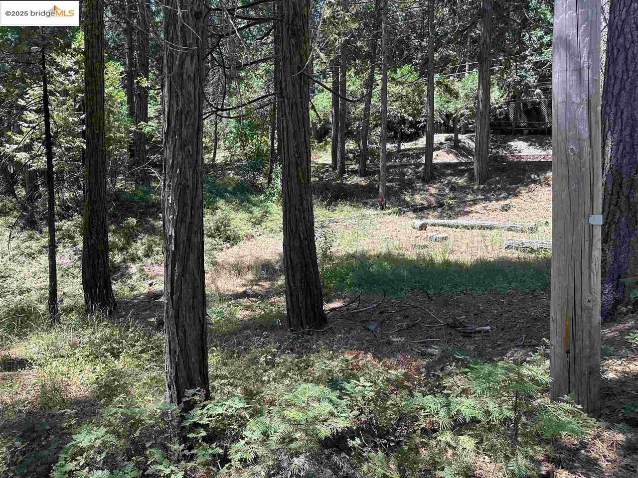 Detail Gallery Image 1 of 9 For 25391 Rebekah Rd, Long Barn,  CA 95335 - – Beds | – Baths