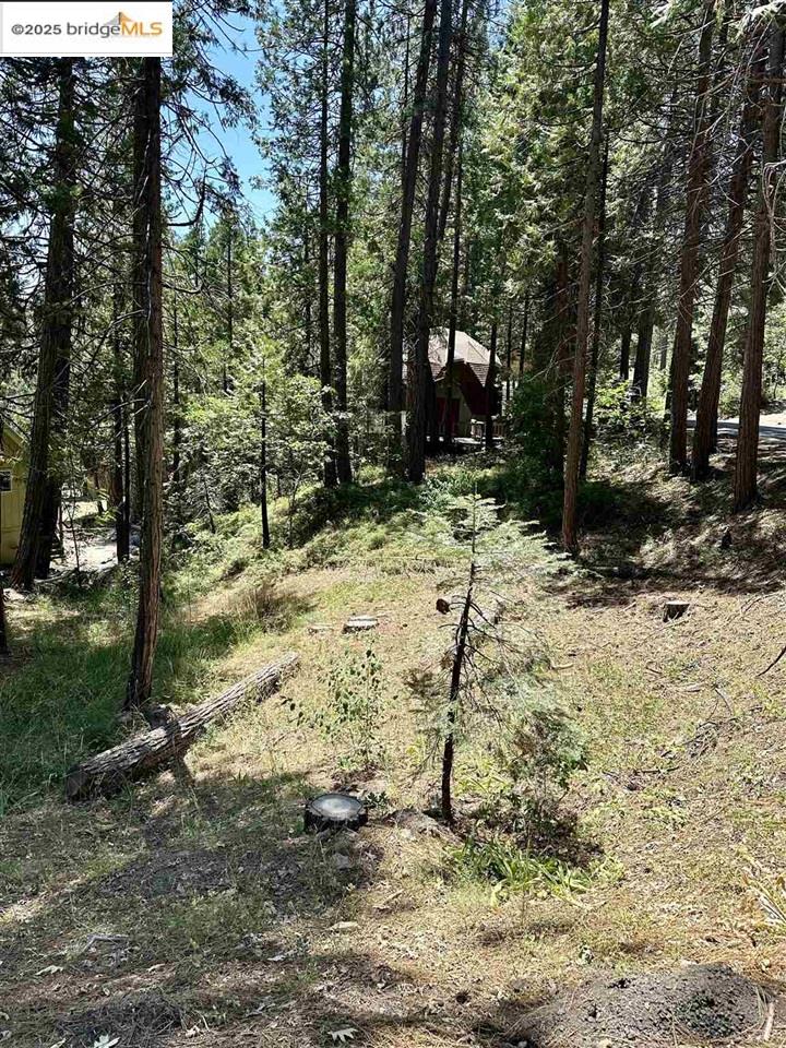 Detail Gallery Image 2 of 9 For 25391 Rebekah Rd, Long Barn,  CA 95335 - – Beds | – Baths