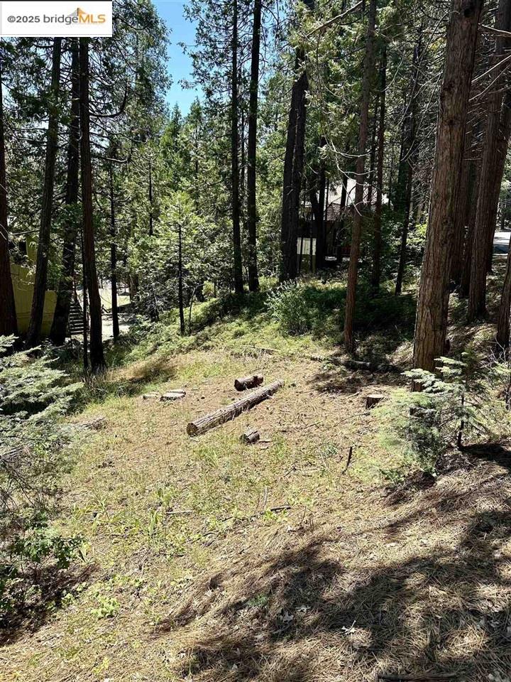 Detail Gallery Image 3 of 9 For 25391 Rebekah Rd, Long Barn,  CA 95335 - – Beds | – Baths