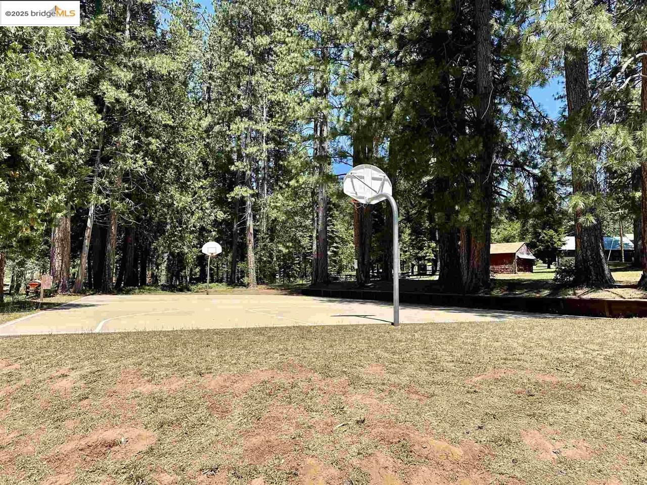 Detail Gallery Image 7 of 9 For 25391 Rebekah Rd, Long Barn,  CA 95335 - – Beds | – Baths
