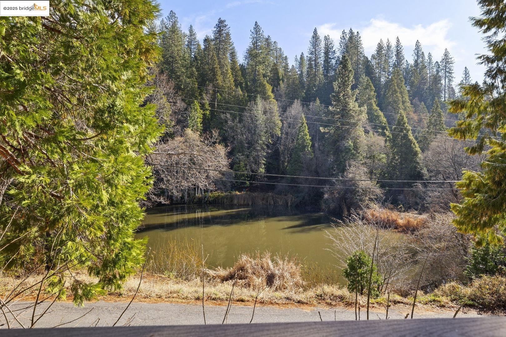 Detail Gallery Image 34 of 34 For 22657 Robin Hood Dr, Twain Harte,  CA 95383 - 4 Beds | 2 Baths