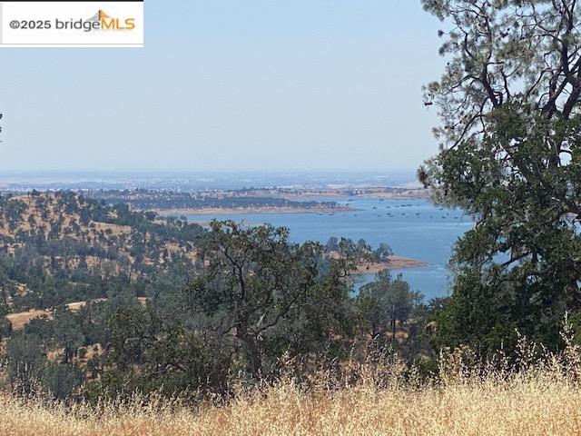 Detail Gallery Image 1 of 13 For 00000 Arbolada Dr, La Grange,  CA 95329 - – Beds | – Baths