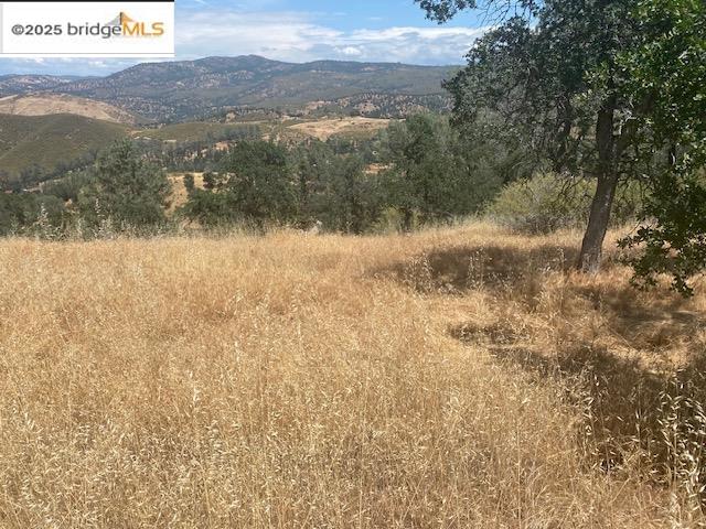 Detail Gallery Image 11 of 13 For 00000 Arbolada Dr, La Grange,  CA 95329 - – Beds | – Baths