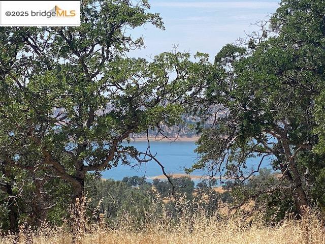 Detail Gallery Image 3 of 13 For 00000 Arbolada Dr, La Grange,  CA 95329 - – Beds | – Baths