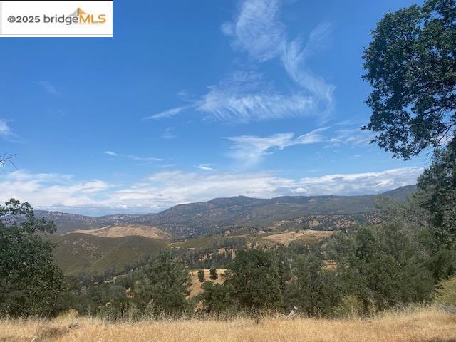 Detail Gallery Image 4 of 13 For 00000 Arbolada Dr, La Grange,  CA 95329 - – Beds | – Baths