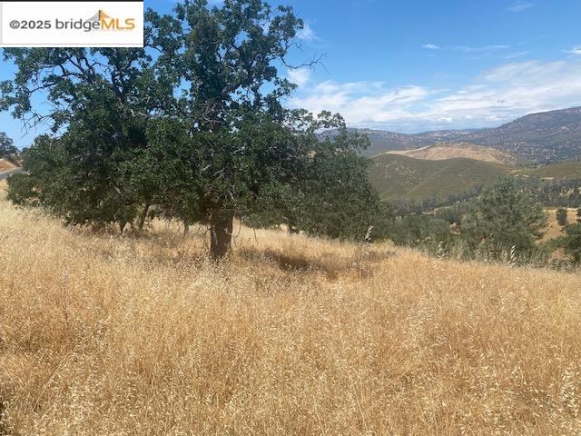 Detail Gallery Image 8 of 13 For 00000 Arbolada Dr, La Grange,  CA 95329 - – Beds | – Baths