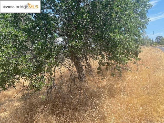 Detail Gallery Image 9 of 13 For 00000 Arbolada Dr, La Grange,  CA 95329 - – Beds | – Baths