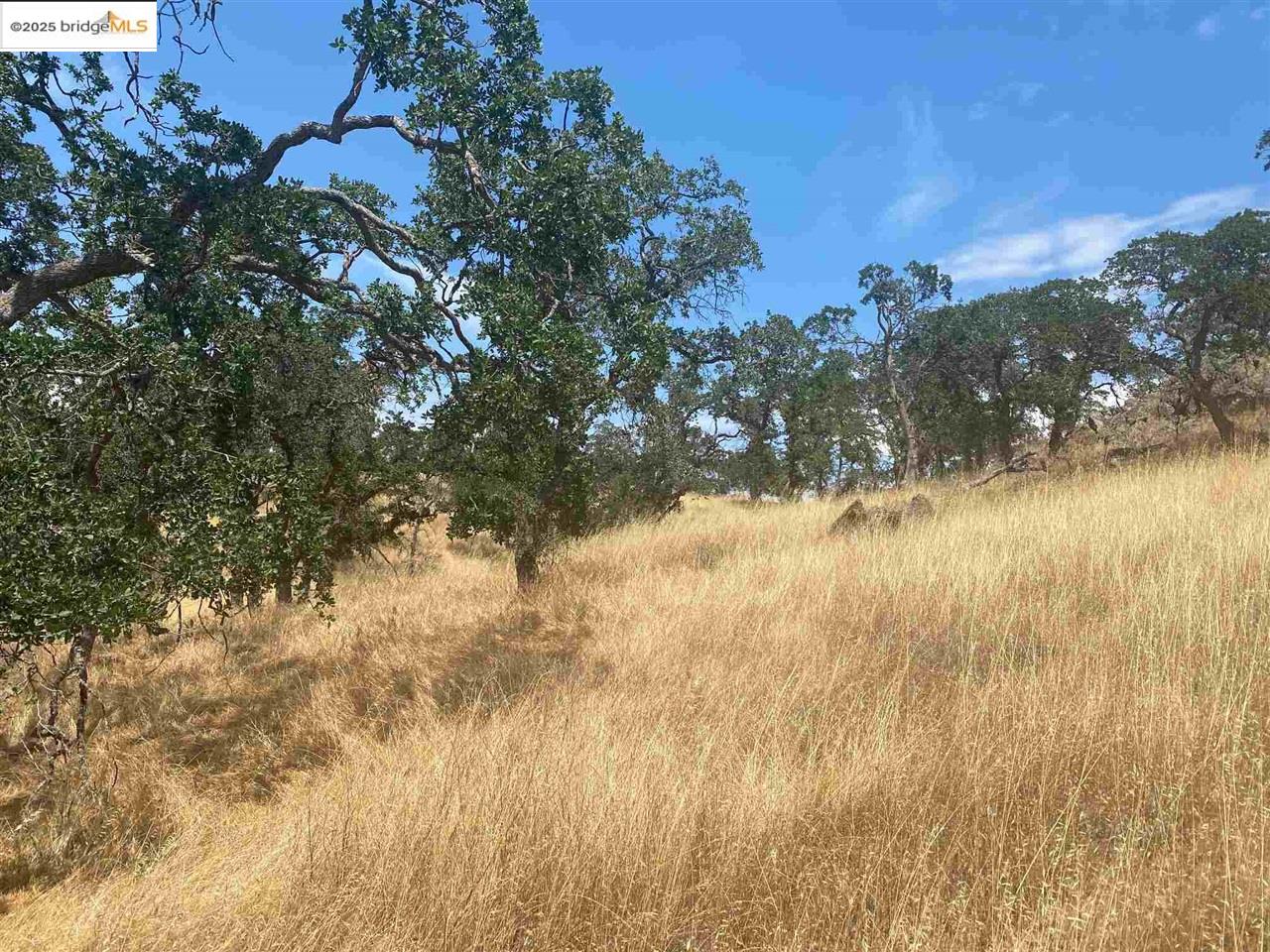 Detail Gallery Image 7 of 10 For 9796 Caracol Circle, La Grange,  CA 95329 - – Beds | – Baths