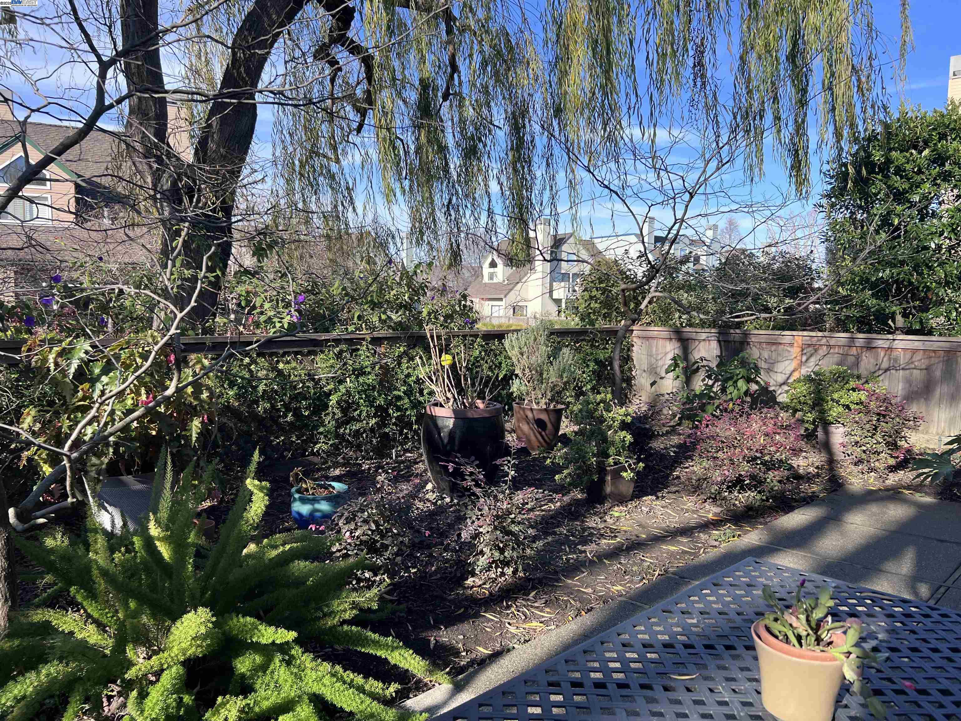 Photo #4: 41081566 Listing 