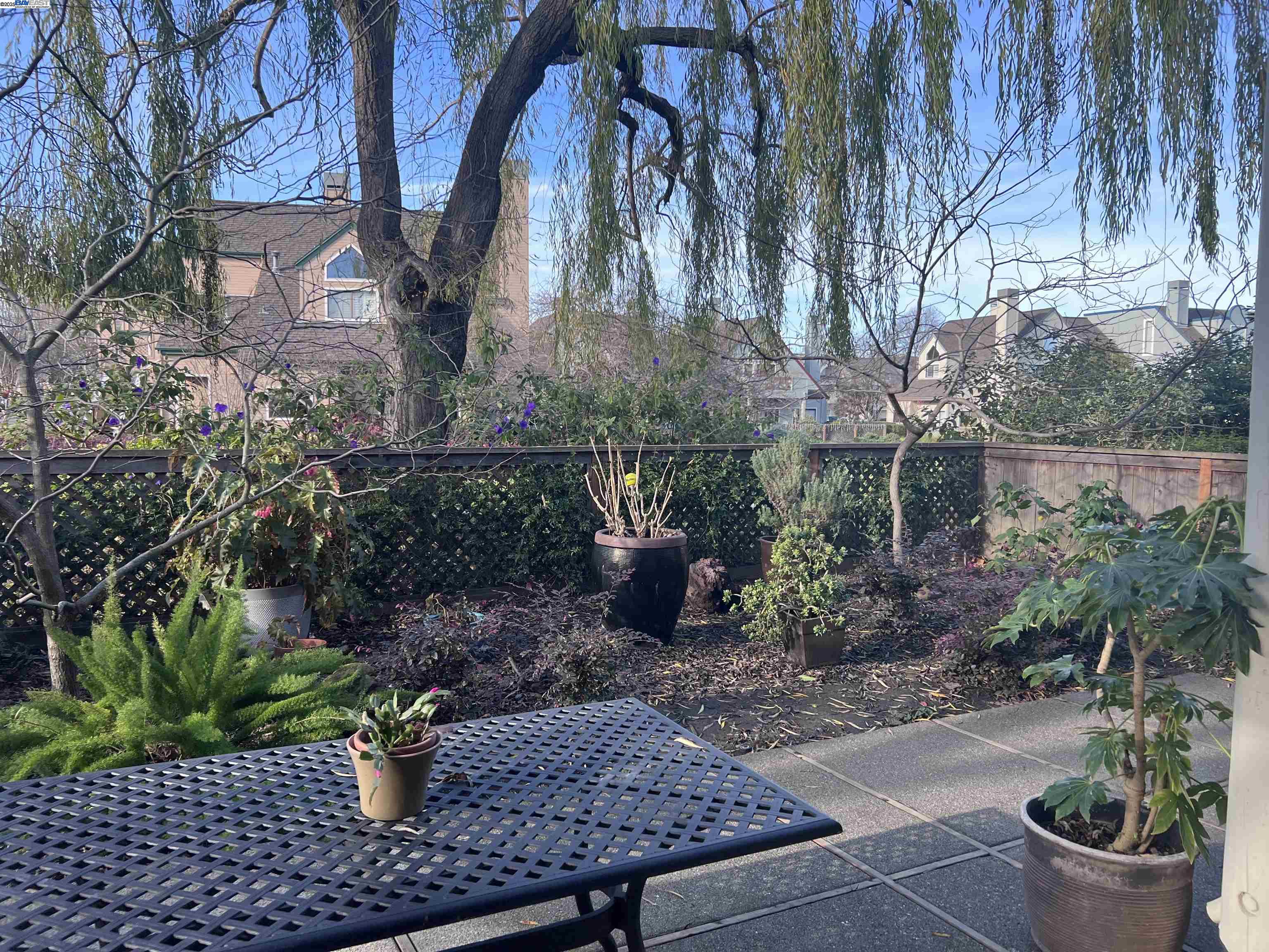 Photo #5: 41081566 Listing 