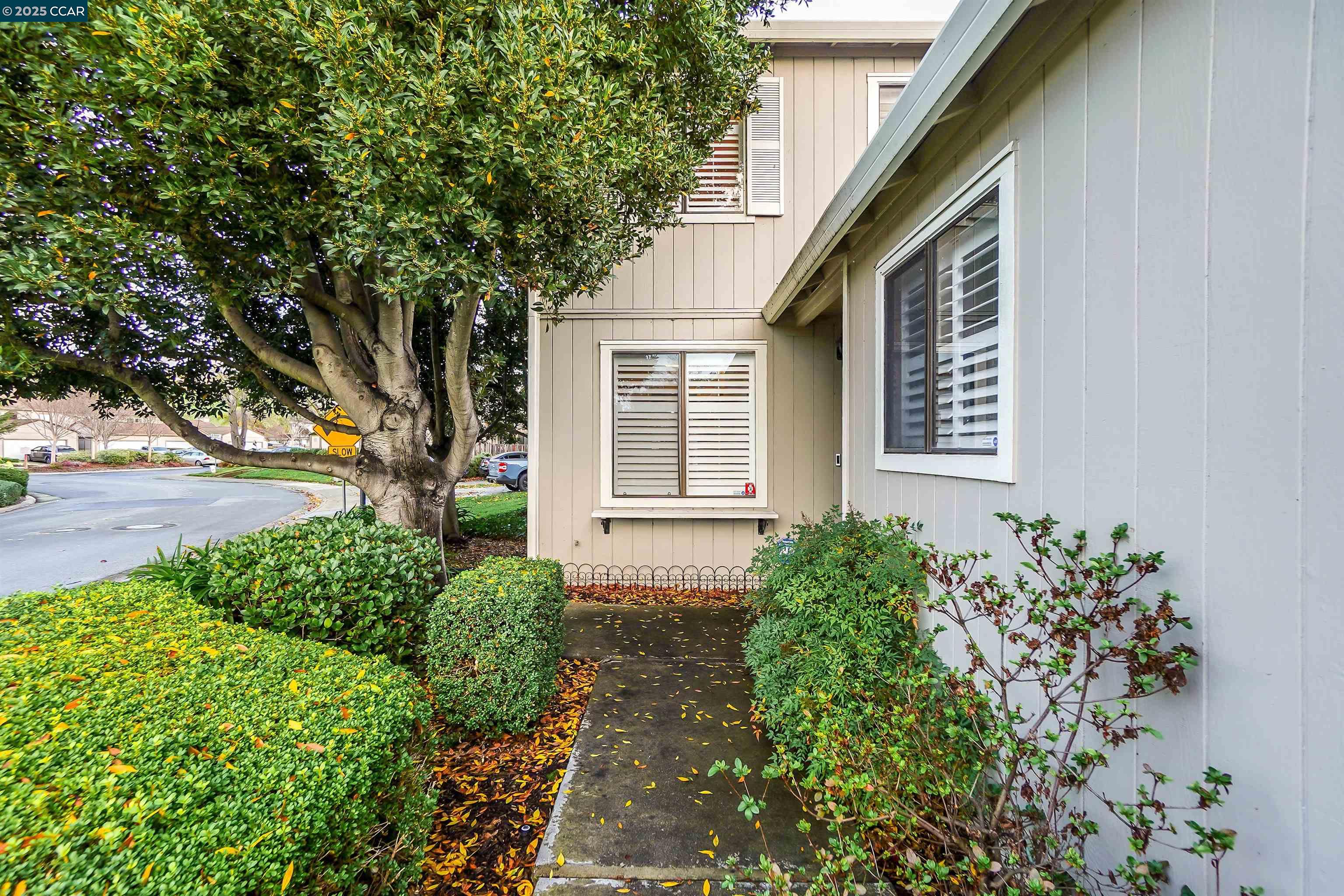 Photo #5: 41081612 Listing 