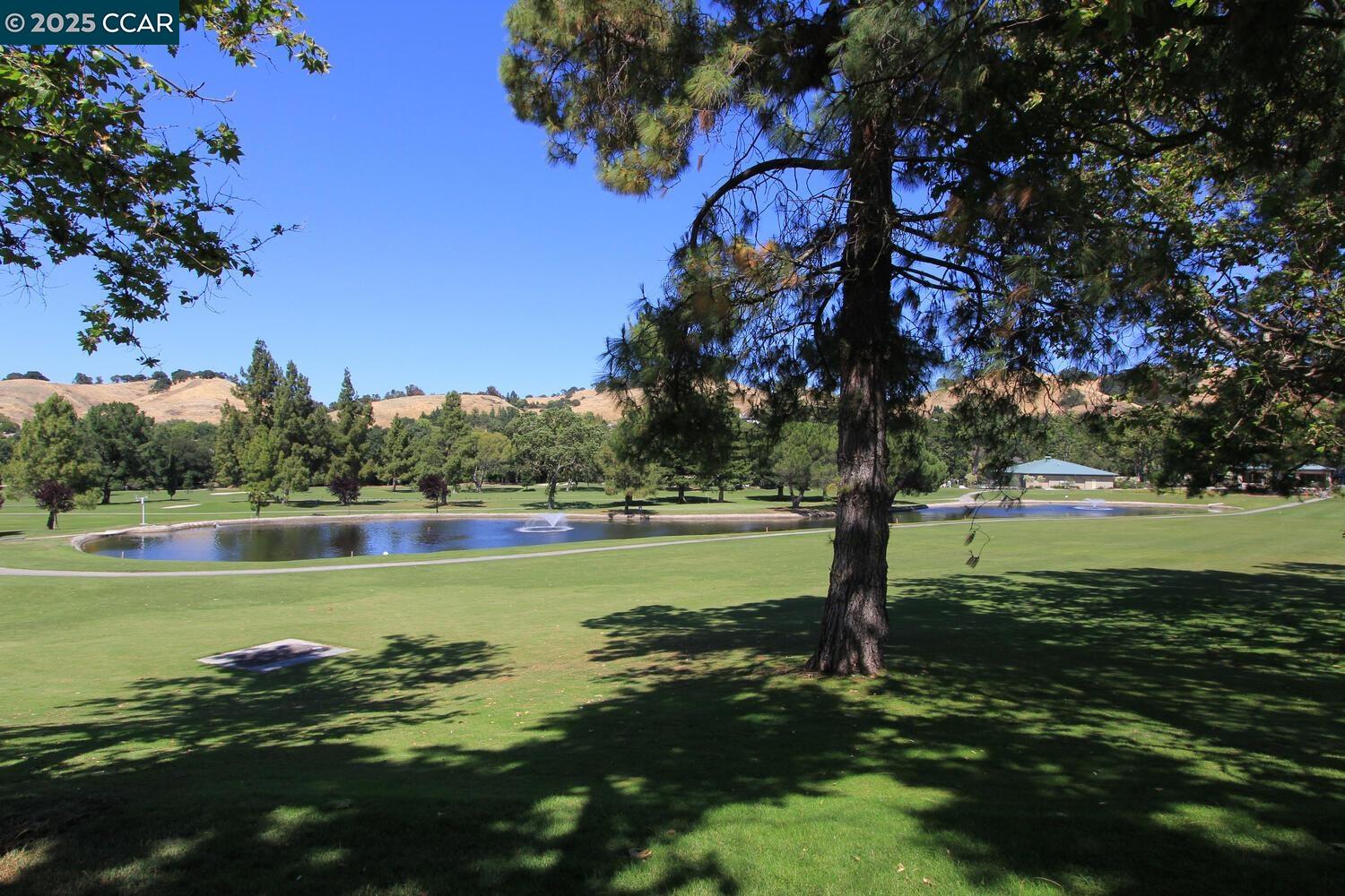 Photo #29: 41081636 Listing: Photo #29