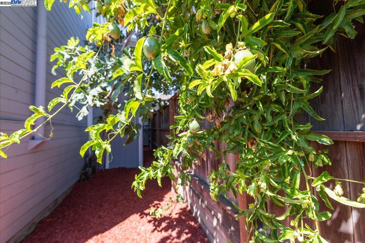 Detail Gallery Image 41 of 52 For 3214 13th Ave, Oakland,  CA 94610 - 4 Beds | 2 Baths