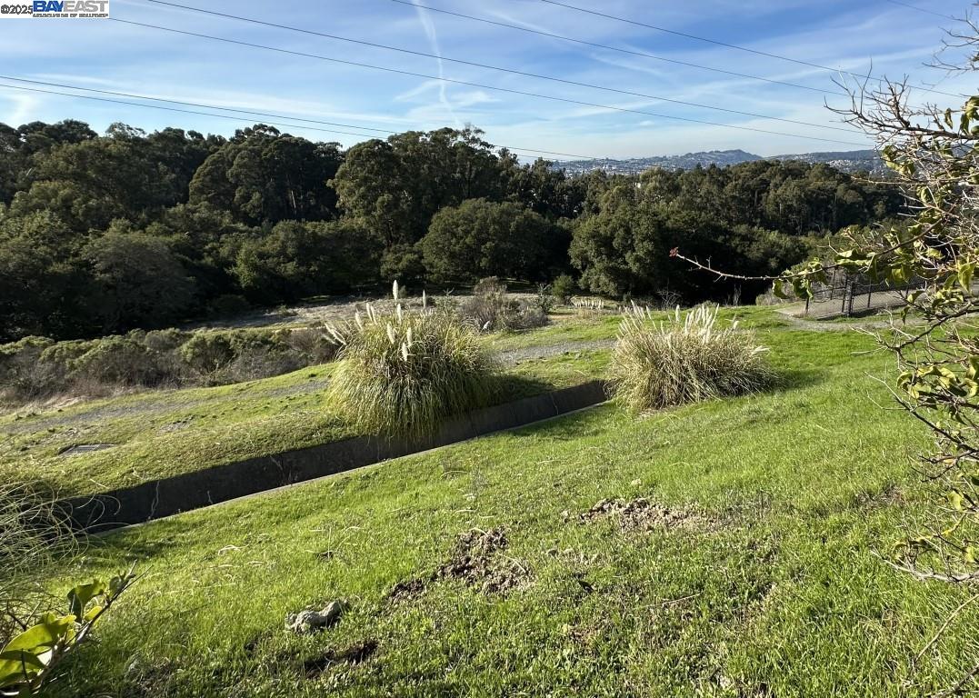 Detail Gallery Image 13 of 51 For 25529 Foggy Glen Dr, Castro Valley,  CA 94552 - 3 Beds | 2/1 Baths