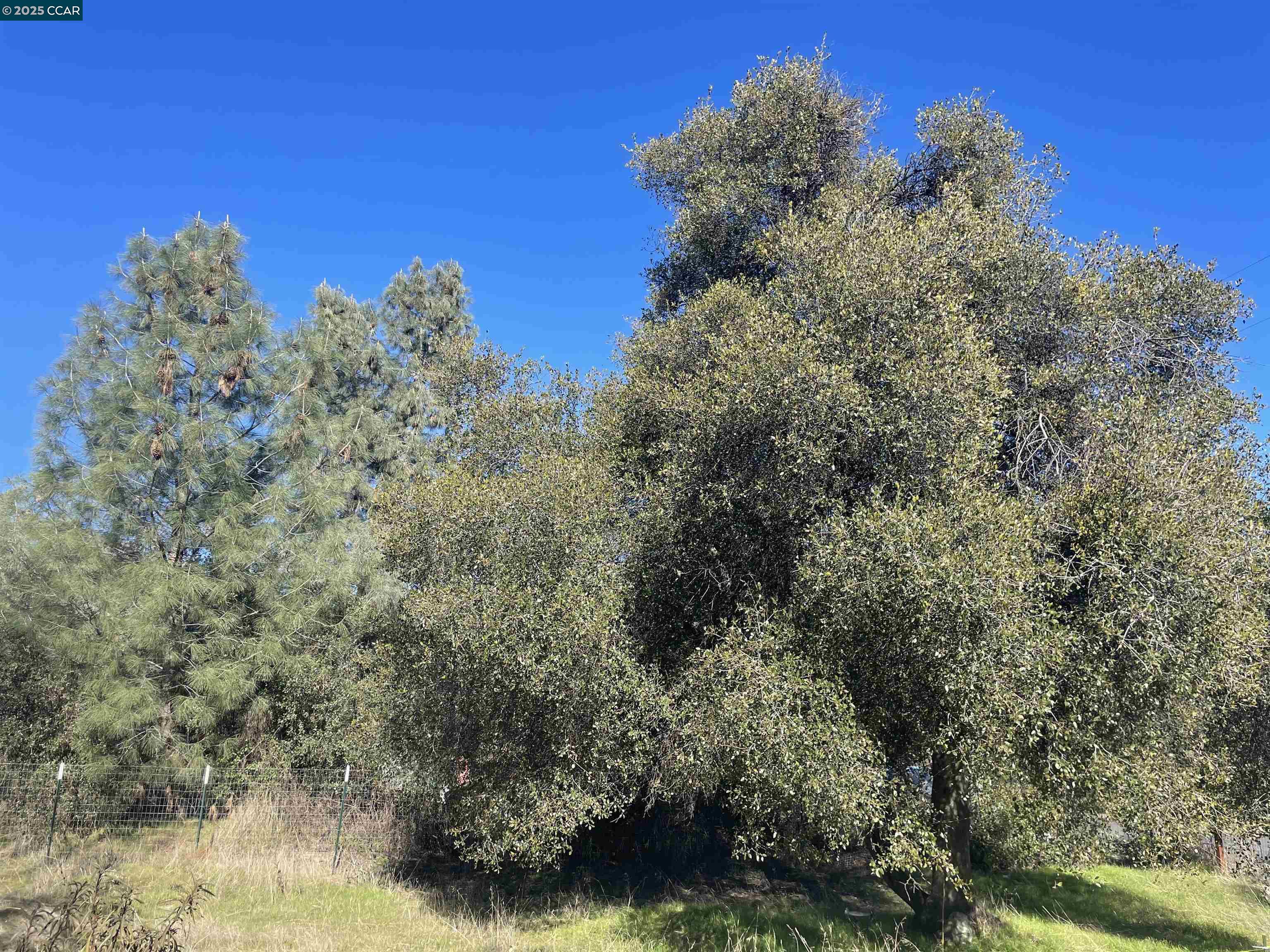 Detail Gallery Image 2 of 12 For 3627 Mint St, Clearlake,  CA 95422 - – Beds | – Baths