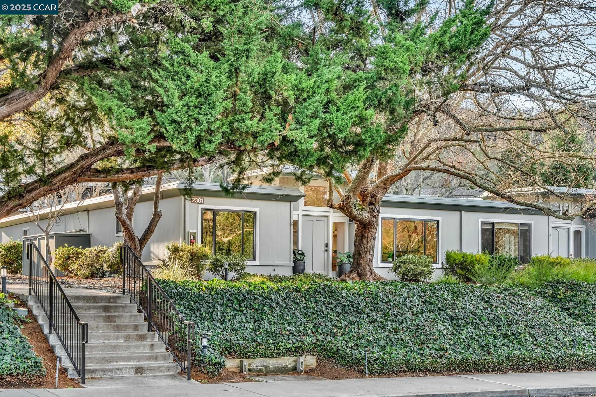 Photo #4: 41082281 Listing: Photo #4