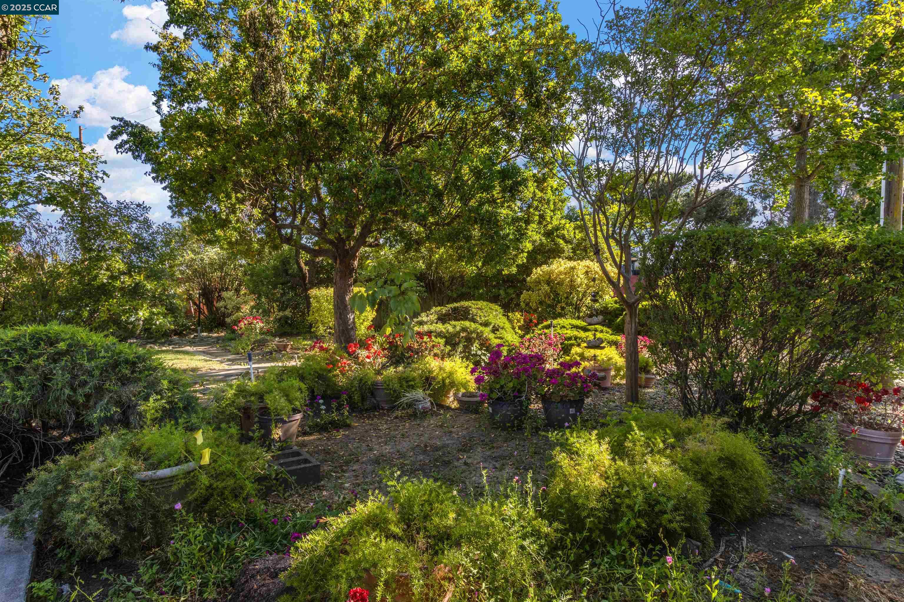 Detail Gallery Image 44 of 60 For 5435 Box R Ranch Rd, Vacaville,  CA 95687 - 4 Beds | 2/2 Baths
