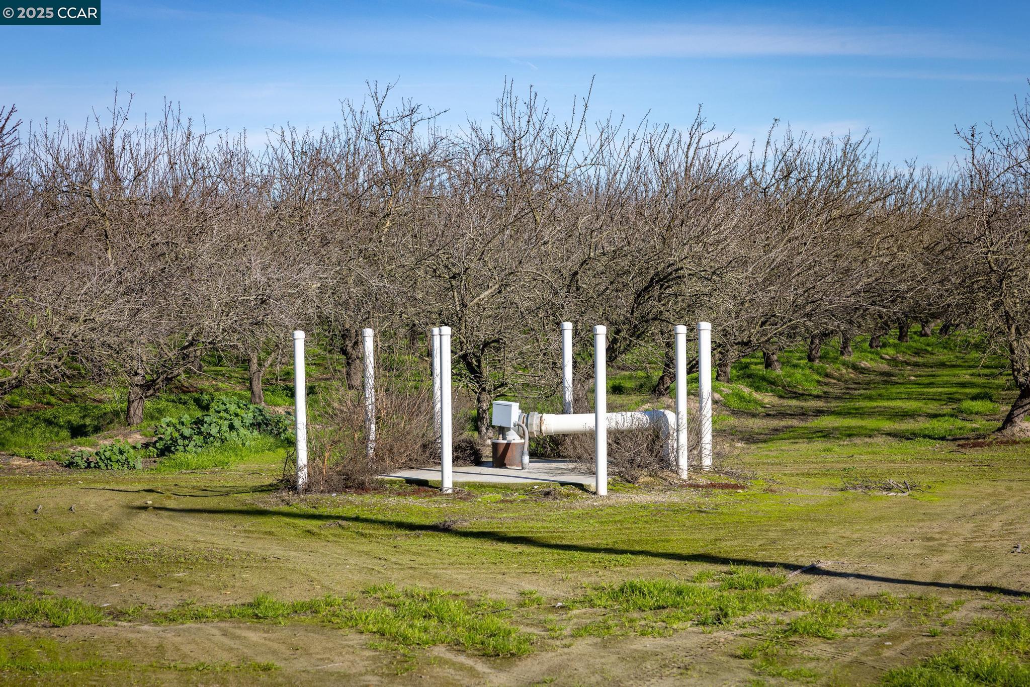 Detail Gallery Image 7 of 13 For 10806 Crows Landing Rd, Crows Landing,  CA 95313 - – Beds | – Baths
