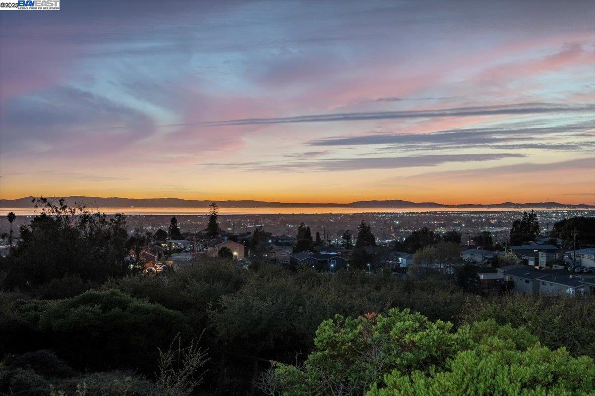 Photo #3: 41082505 Listing 
