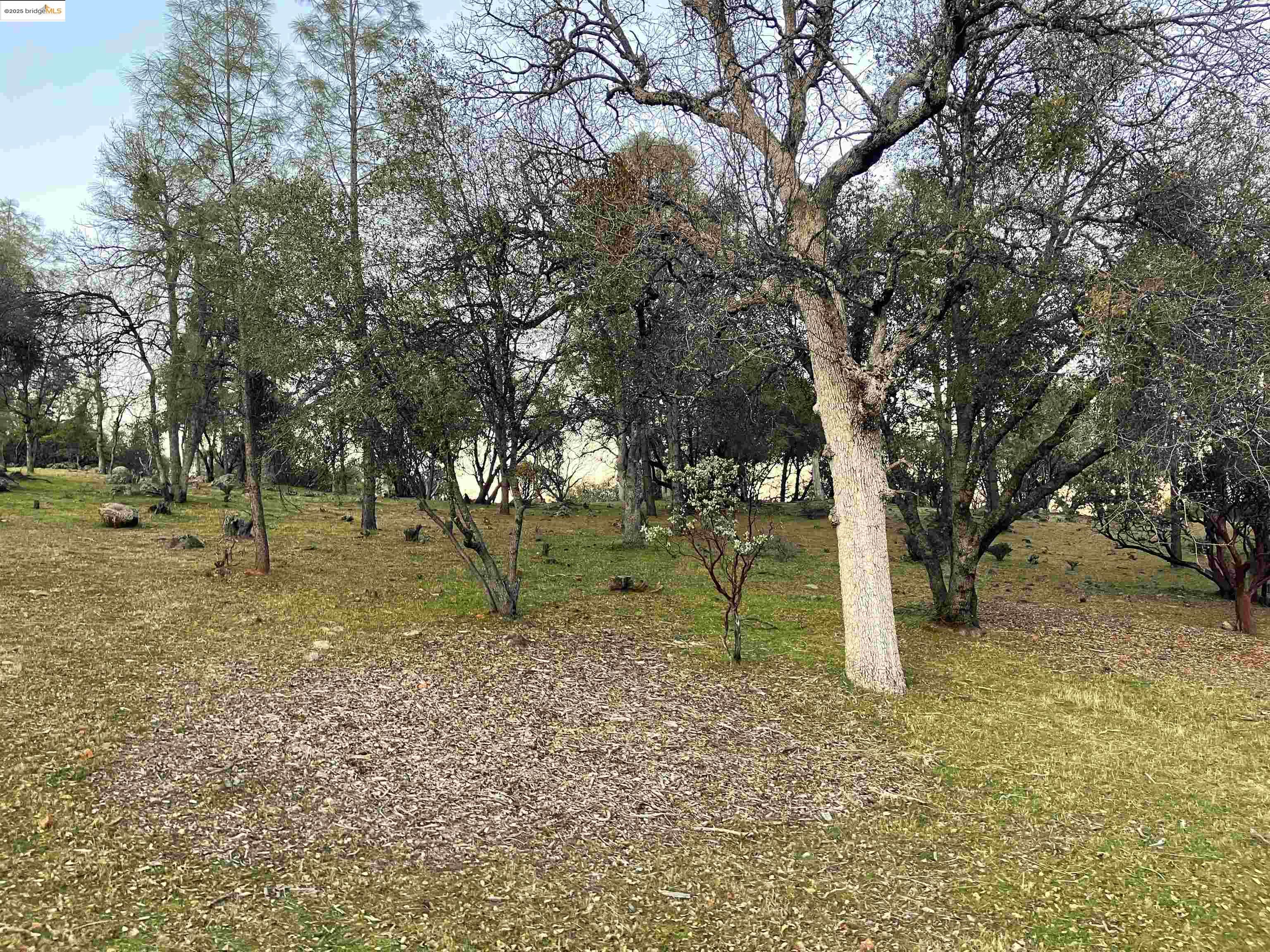 Detail Gallery Image 7 of 11 For 13965 Stanton Circle, Sonora,  CA 95370-0000 - – Beds | – Baths
