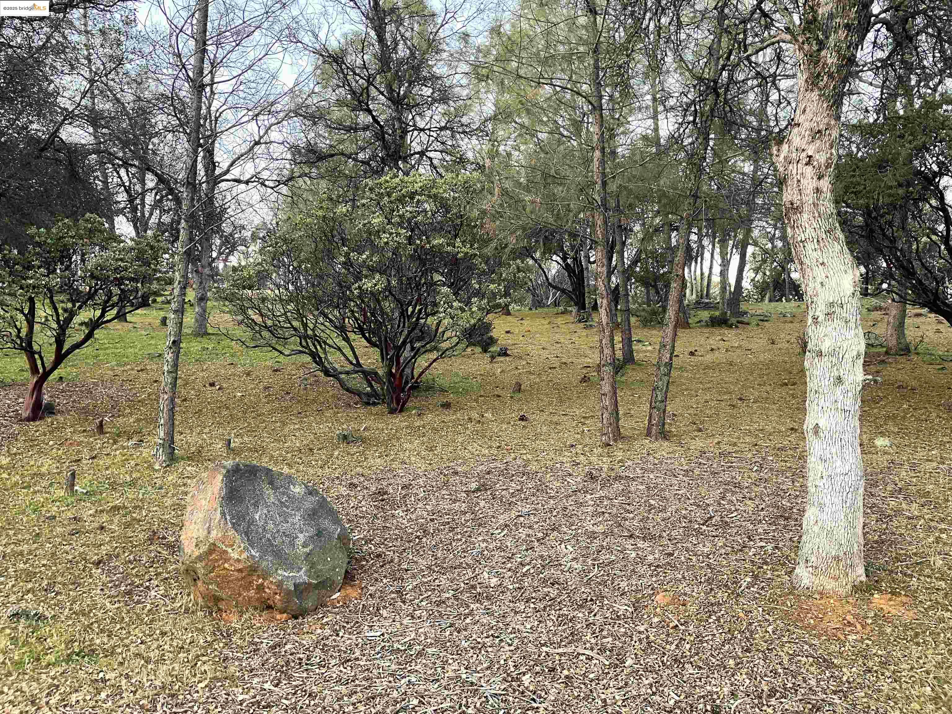 Detail Gallery Image 10 of 11 For 13965 Stanton Circle, Sonora,  CA 95370-0000 - – Beds | – Baths