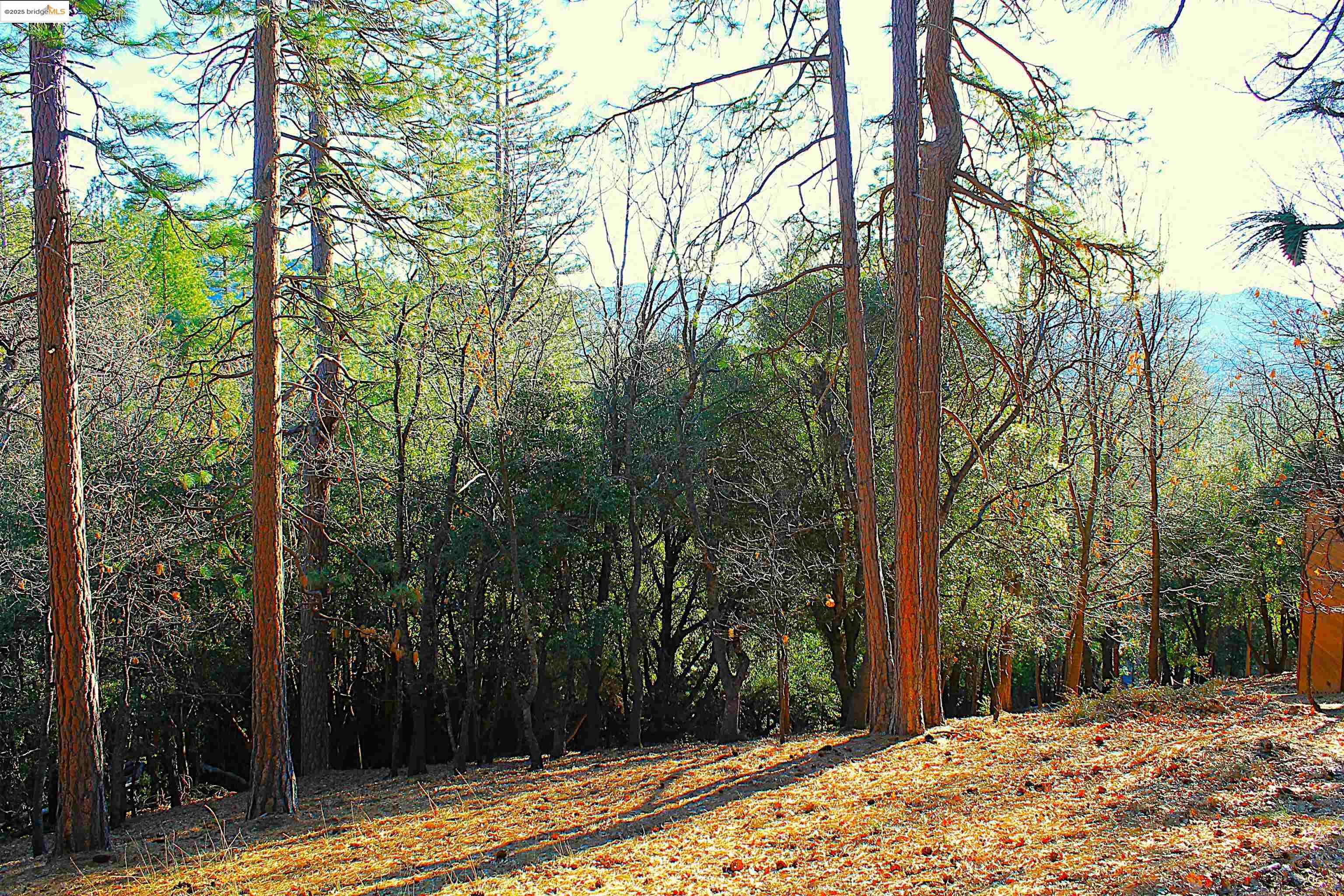 Front Image Thumbnail for EB41082743