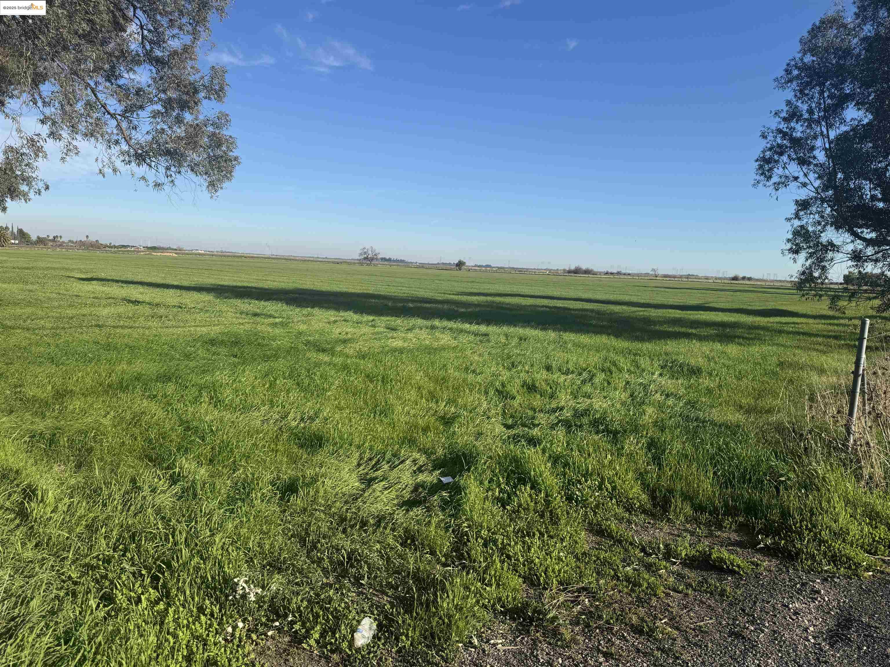 Detail Gallery Image 4 of 8 For Byron Hwy, Byron,  CA 94514 - – Beds | – Baths