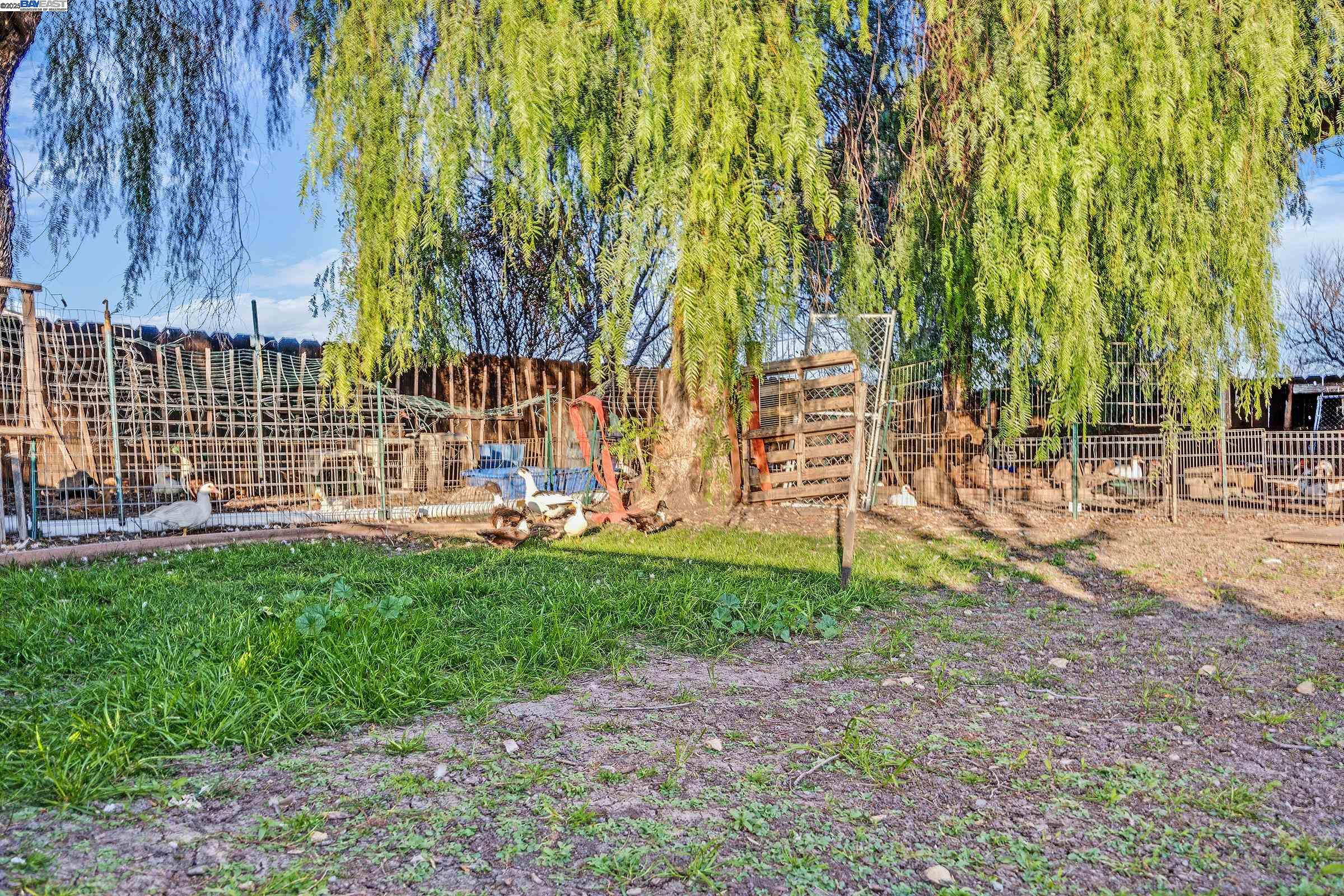 Detail Gallery Image 50 of 60 For 21021 Reeve Rd, Tracy,  CA 95304 - 4 Beds | 2/1 Baths