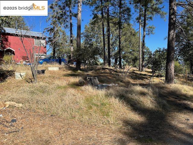 Detail Gallery Image 11 of 12 For 9997 Ernst Rd, Coulterville,  CA 95311 - 2 Beds | 1 Baths