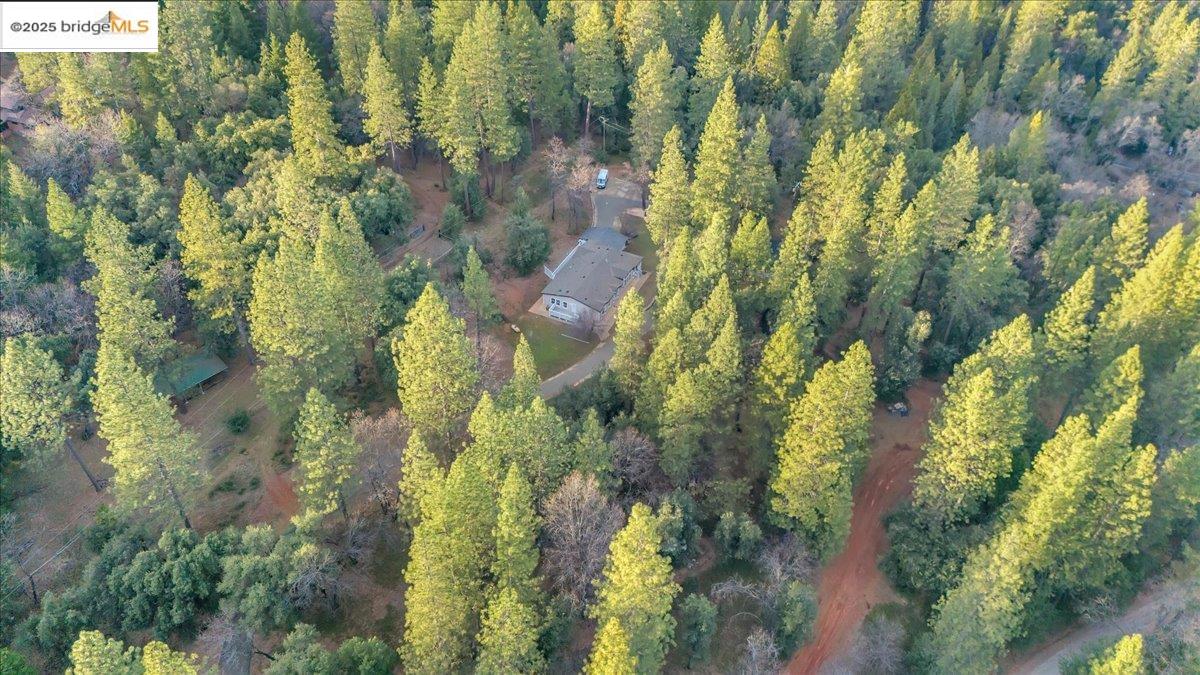 Detail Gallery Image 33 of 40 For 146 Three Cent Flat Rd, Glencoe,  CA 95232 - 3 Beds | 2/1 Baths