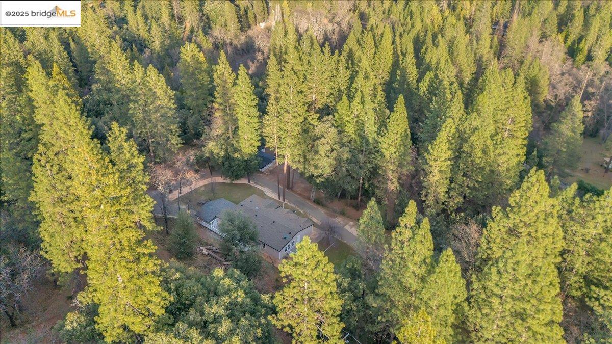 Detail Gallery Image 34 of 40 For 146 Three Cent Flat Rd, Glencoe,  CA 95232 - 3 Beds | 2/1 Baths