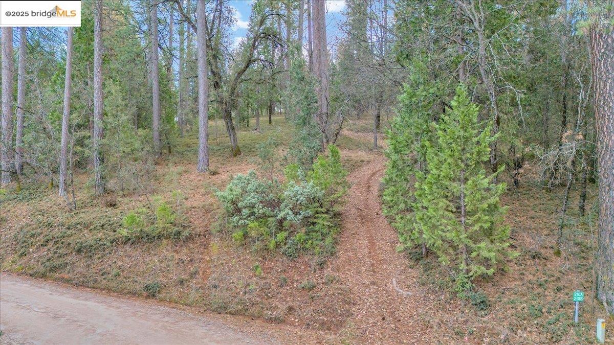 Detail Gallery Image 36 of 40 For 146 Three Cent Flat Rd, Glencoe,  CA 95232 - 3 Beds | 2/1 Baths
