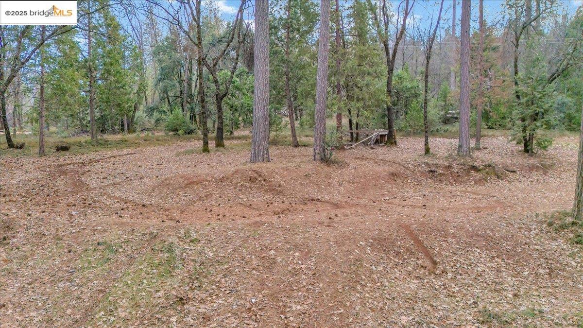 Detail Gallery Image 38 of 40 For 146 Three Cent Flat Rd, Glencoe,  CA 95232 - 3 Beds | 2/1 Baths
