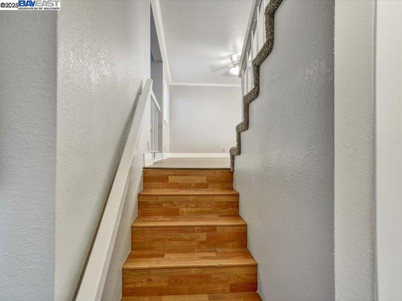 Photo #7: 41082911 Listing: Photo #7