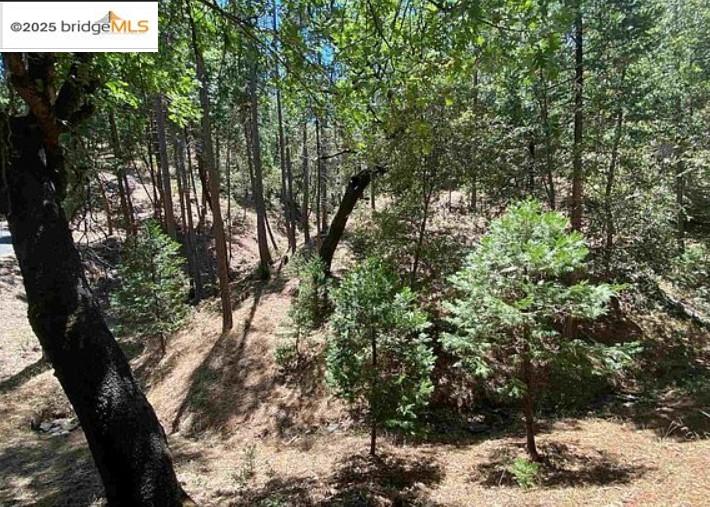 Detail Gallery Image 1 of 21 For 12000 Trapper, Groveland,  CA 95321 - – Beds | – Baths