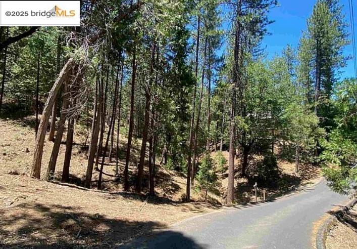 Detail Gallery Image 2 of 21 For 12000 Trapper, Groveland,  CA 95321 - – Beds | – Baths