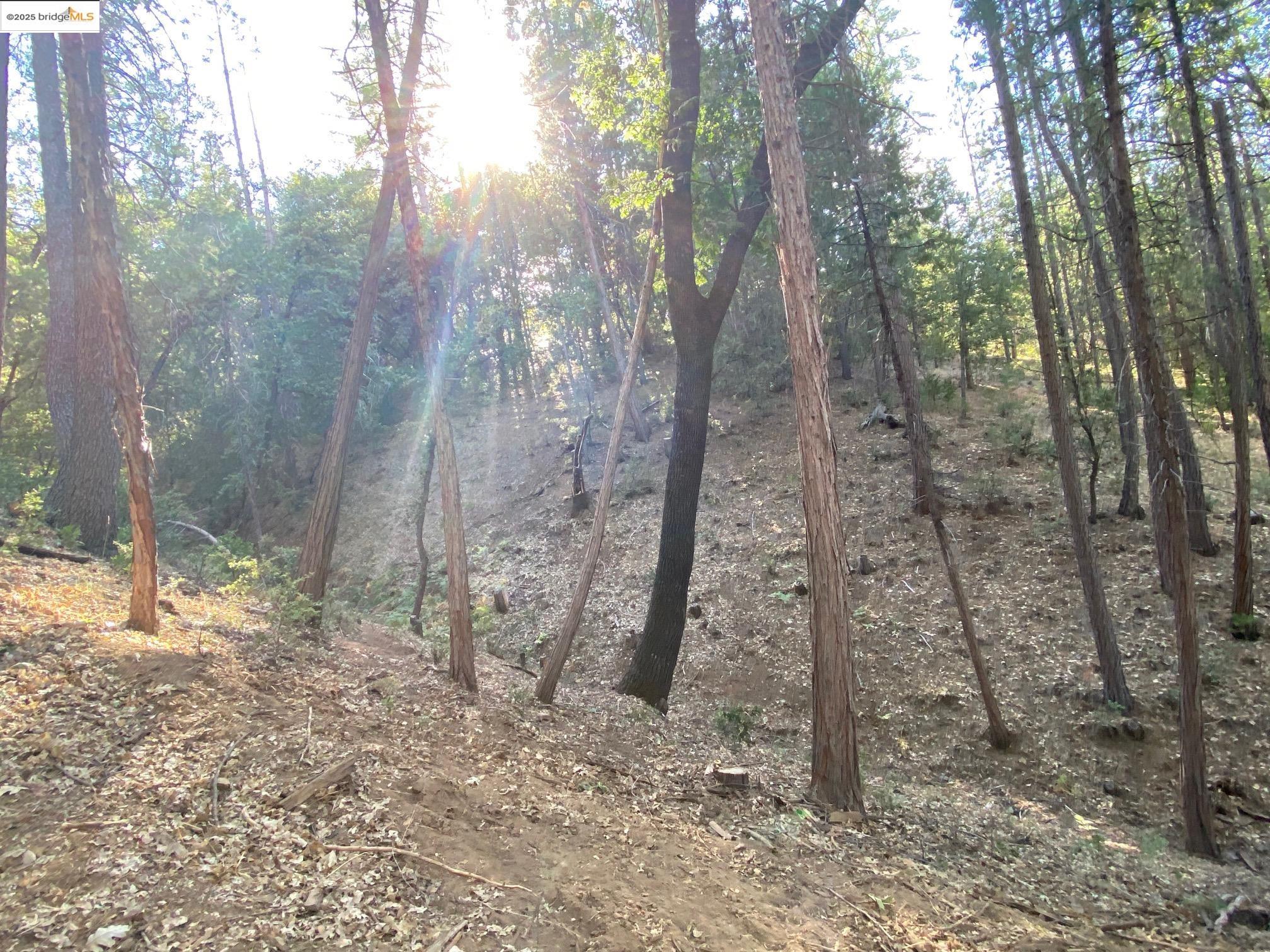 Detail Gallery Image 3 of 21 For 12000 Trapper, Groveland,  CA 95321 - – Beds | – Baths