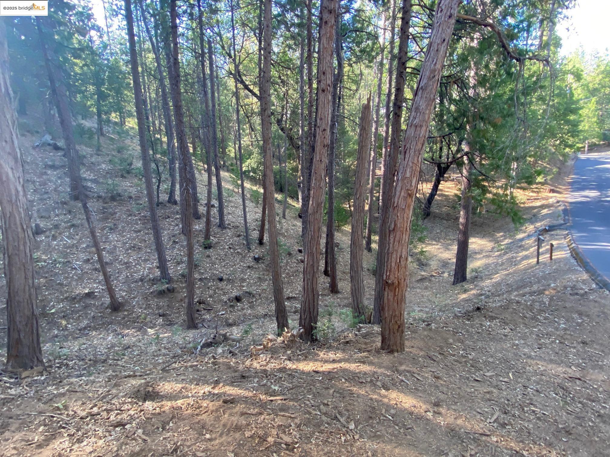 Detail Gallery Image 4 of 21 For 12000 Trapper, Groveland,  CA 95321 - – Beds | – Baths