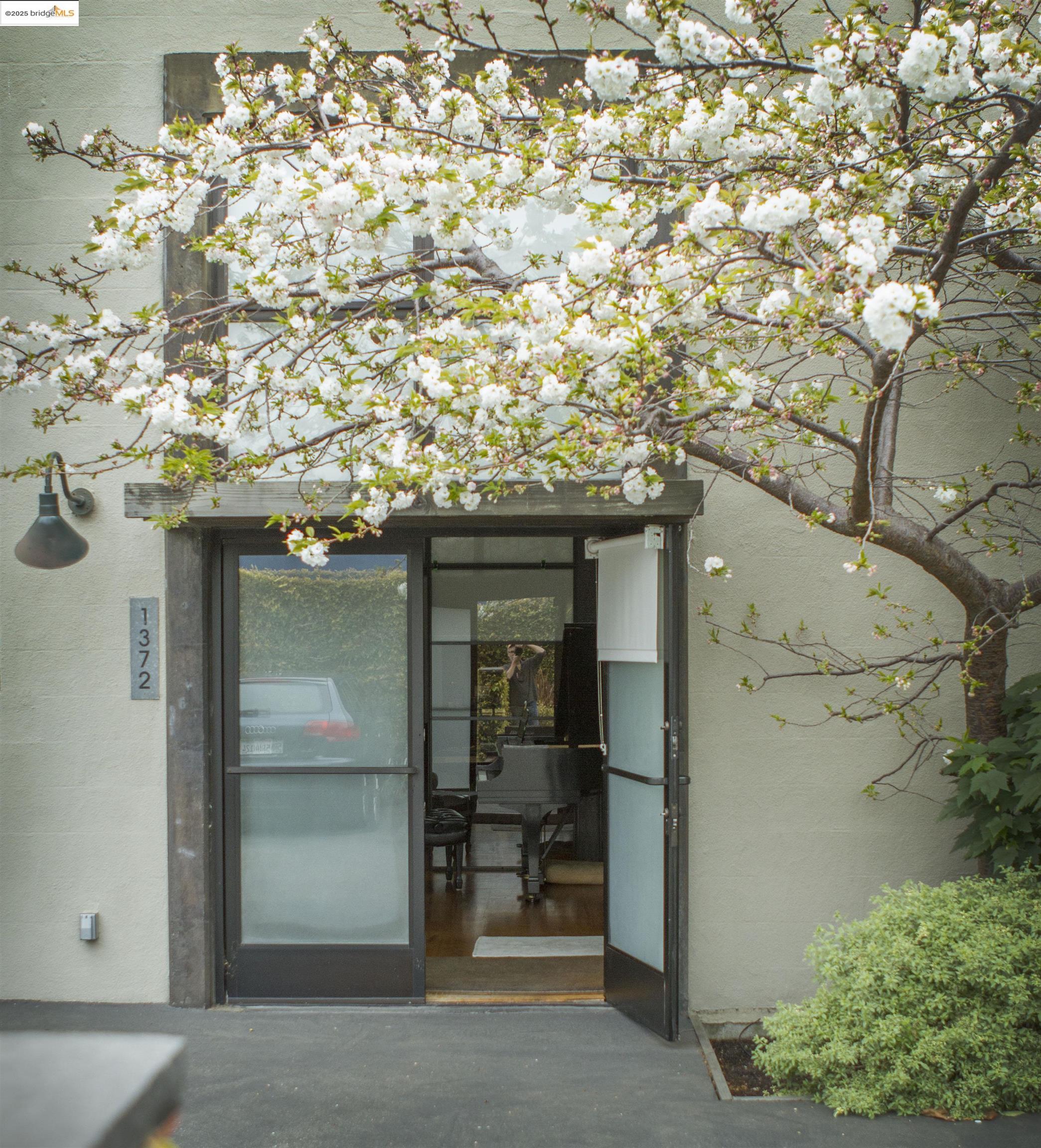 Photo #2: 41083277 Listing 
