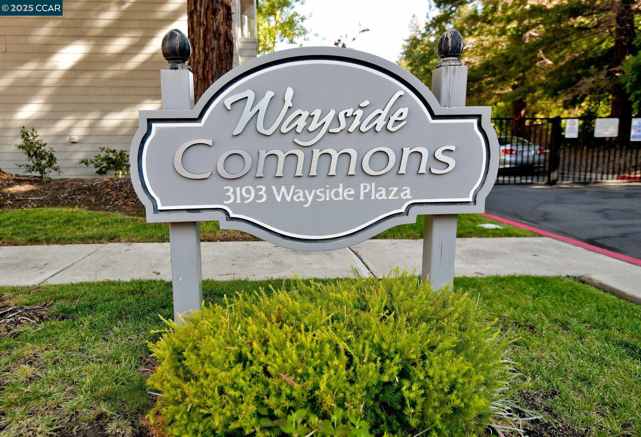 Photo #2: 41083328 Listing 