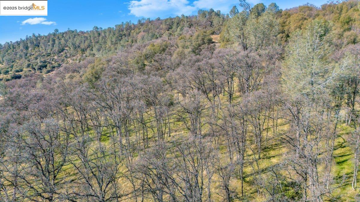 Detail Gallery Image 2 of 11 For 0000 Ivy Lane, Sonora,  CA 95370-5350 - – Beds | – Baths