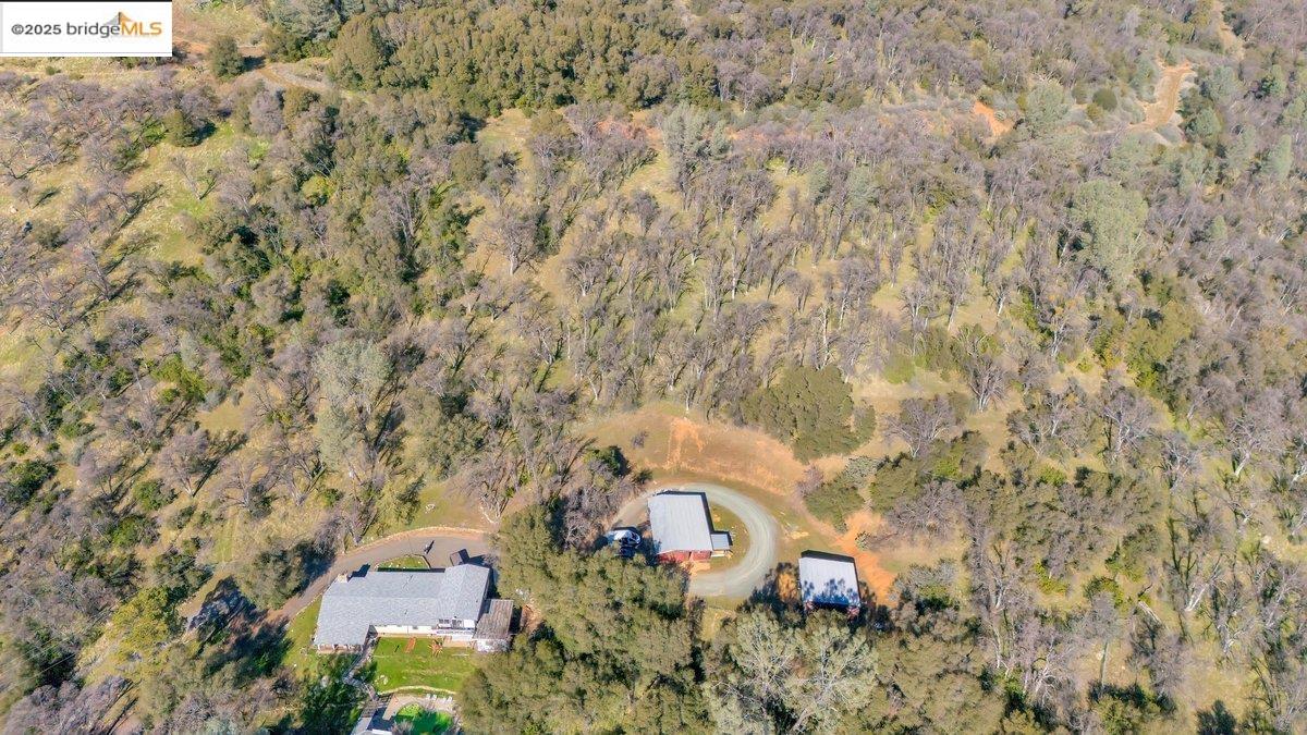 Detail Gallery Image 7 of 11 For 0000 Ivy Lane, Sonora,  CA 95370-5350 - – Beds | – Baths