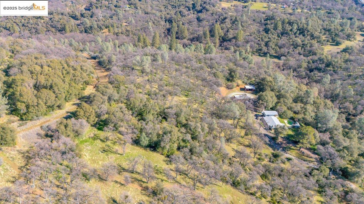 Detail Gallery Image 8 of 11 For 0000 Ivy Lane, Sonora,  CA 95370-5350 - – Beds | – Baths