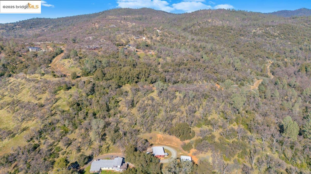 Detail Gallery Image 9 of 11 For 0000 Ivy Lane, Sonora,  CA 95370-5350 - – Beds | – Baths