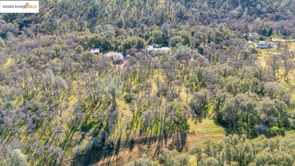 Detail Gallery Image 10 of 11 For 0000 Ivy Lane, Sonora,  CA 95370-5350 - – Beds | – Baths