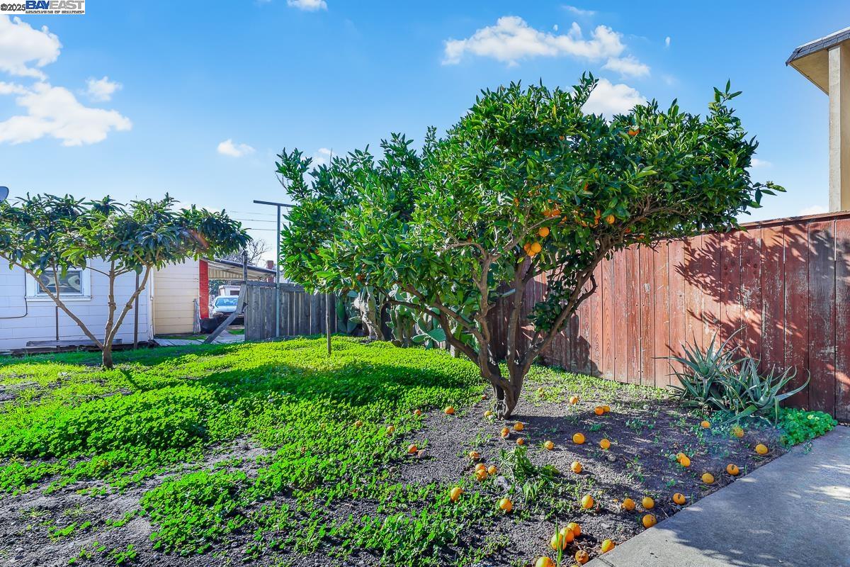 Detail Gallery Image 46 of 48 For 6237 Hayes St, Oakland,  CA 94621 - 4 Beds | 2 Baths