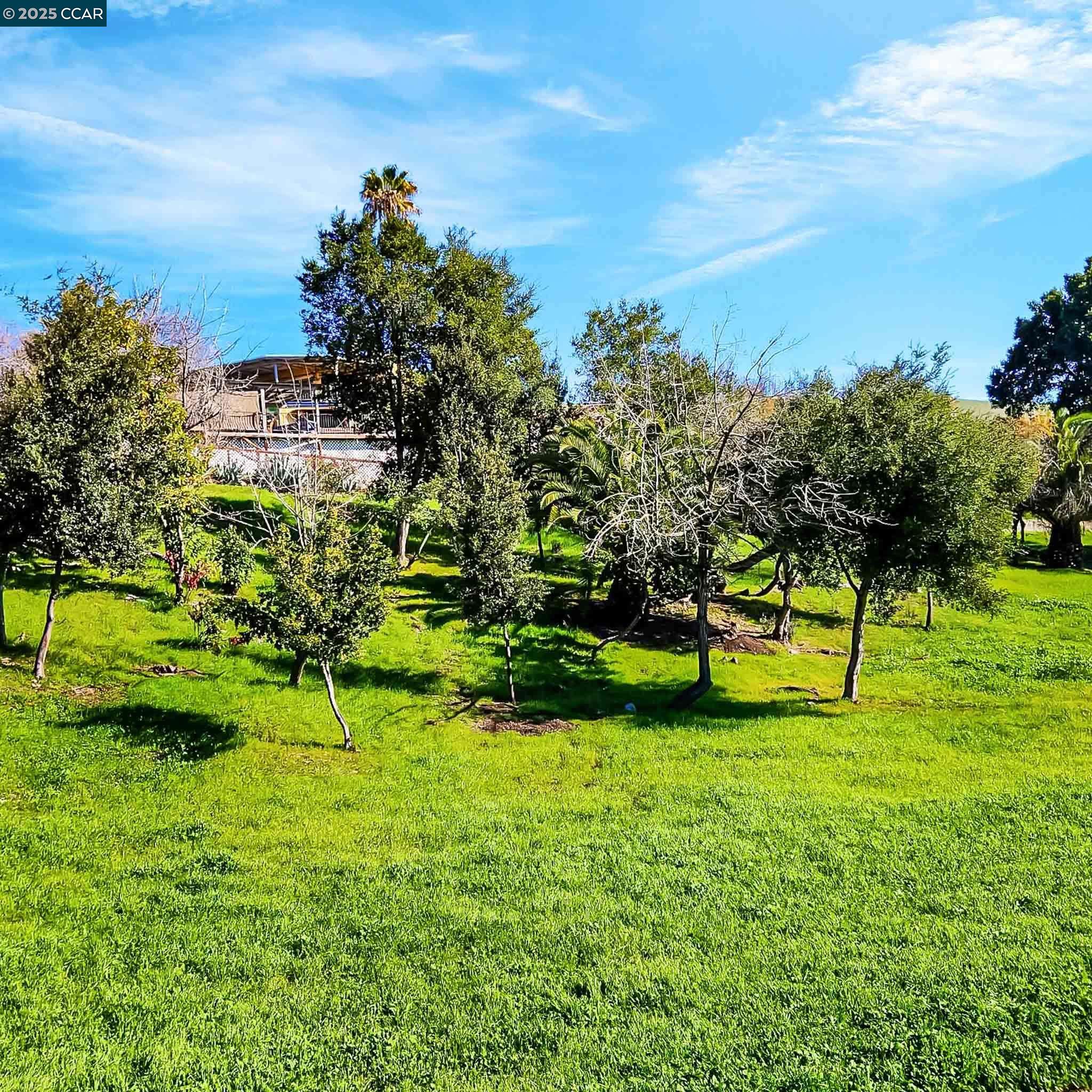 Photo #7: 41083511 Listing: Photo #7